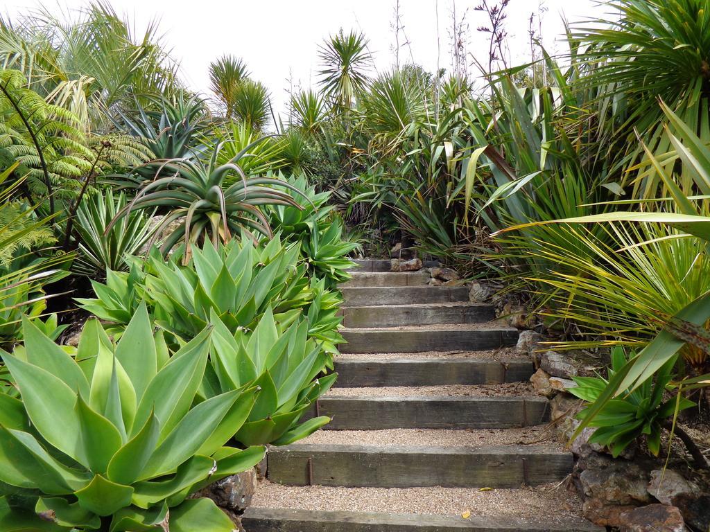 Nikau Apartments Waiheke Island Onetangi Екстериор снимка